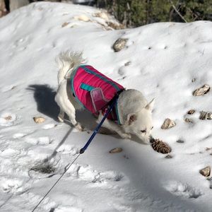 Meet your Posher, Brenda